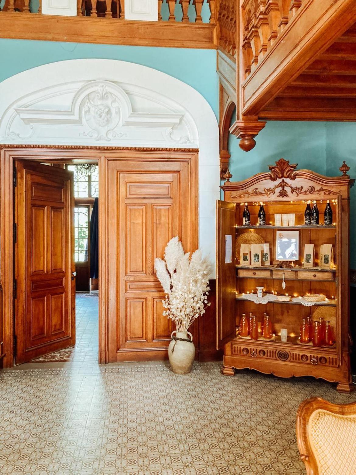 Château Du Guérinet Saint-Priest-Bramefant Esterno foto